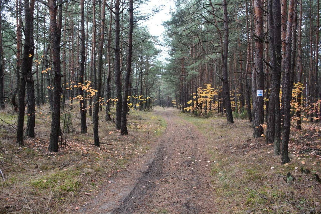 Dom Turysty "Tramp" Hotel Bukowno Екстериор снимка